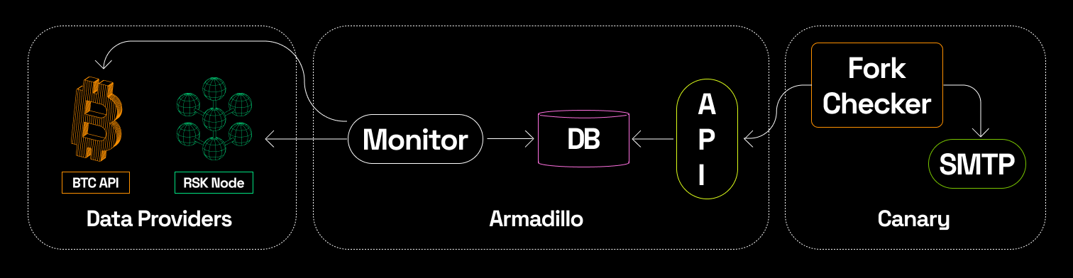 Armadillo Workflow 2